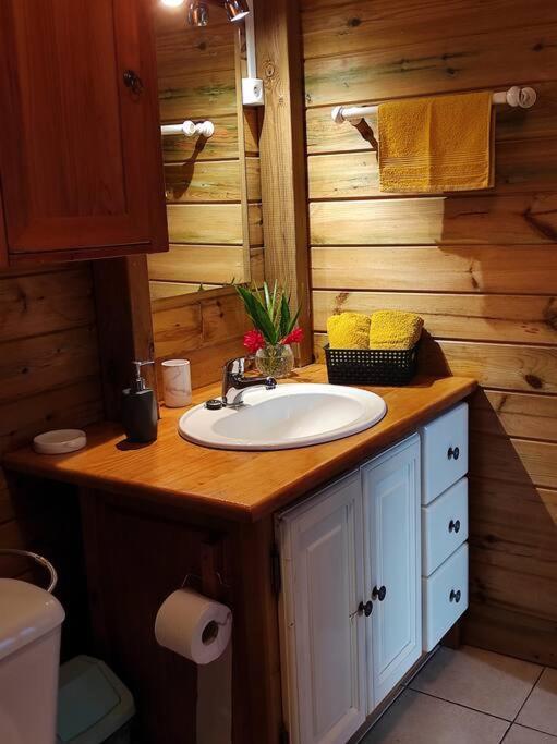 Le Tri Haut De Bellevue - Bungalow Heliconia Pointe-Noire Zewnętrze zdjęcie