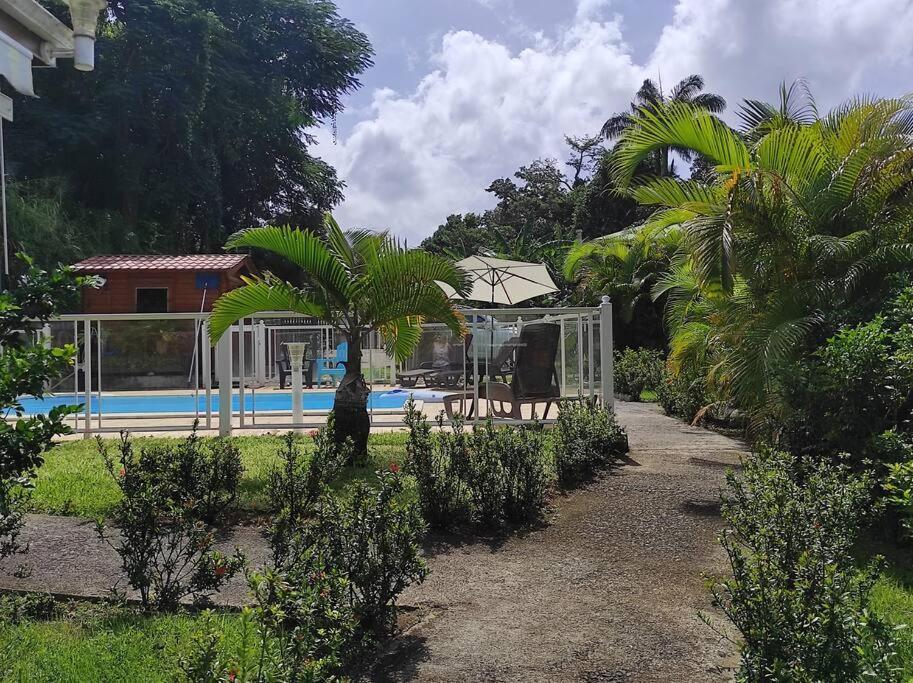 Le Tri Haut De Bellevue - Bungalow Heliconia Pointe-Noire Zewnętrze zdjęcie